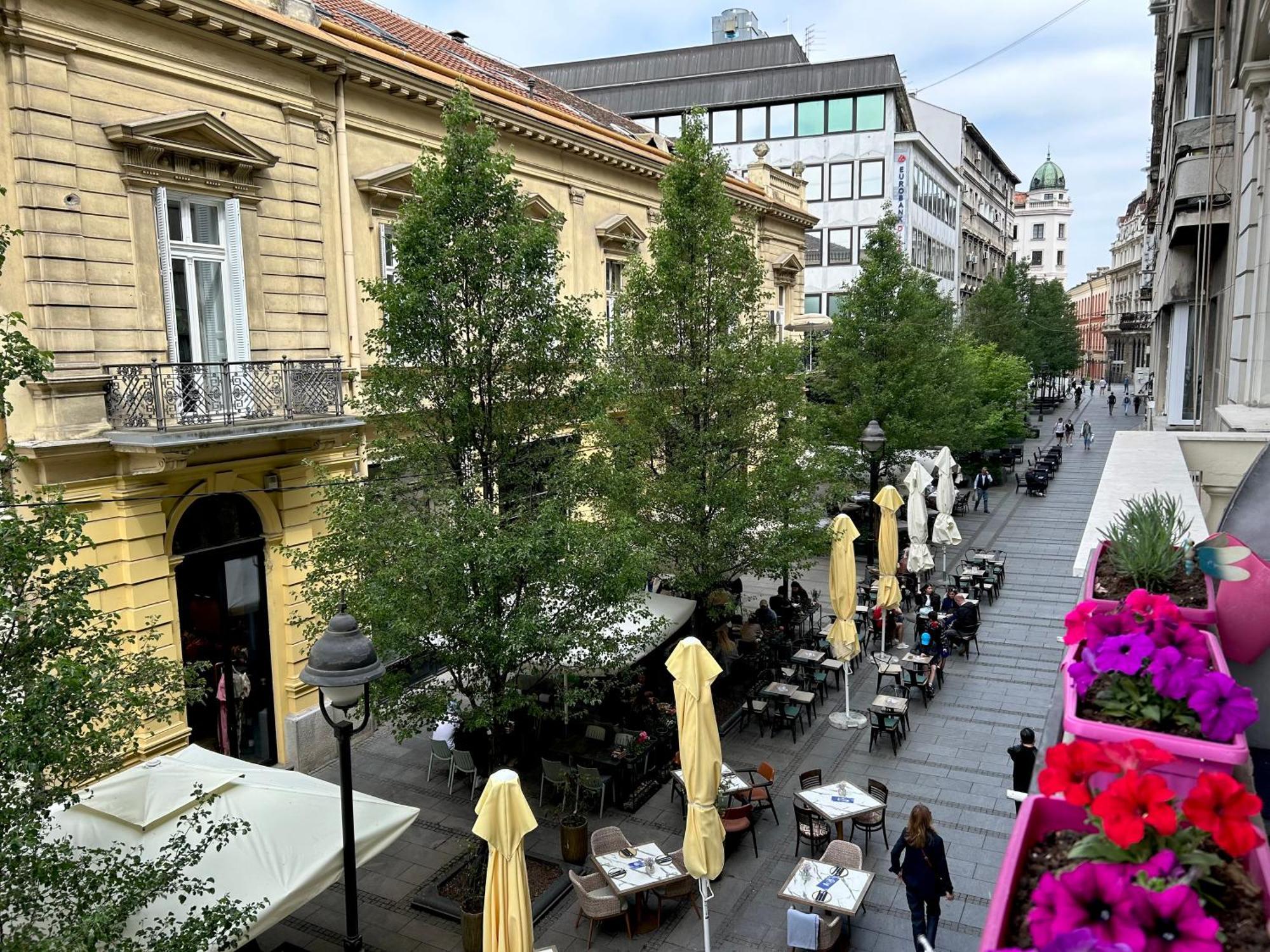 Princ Apartment Belgrad Dış mekan fotoğraf